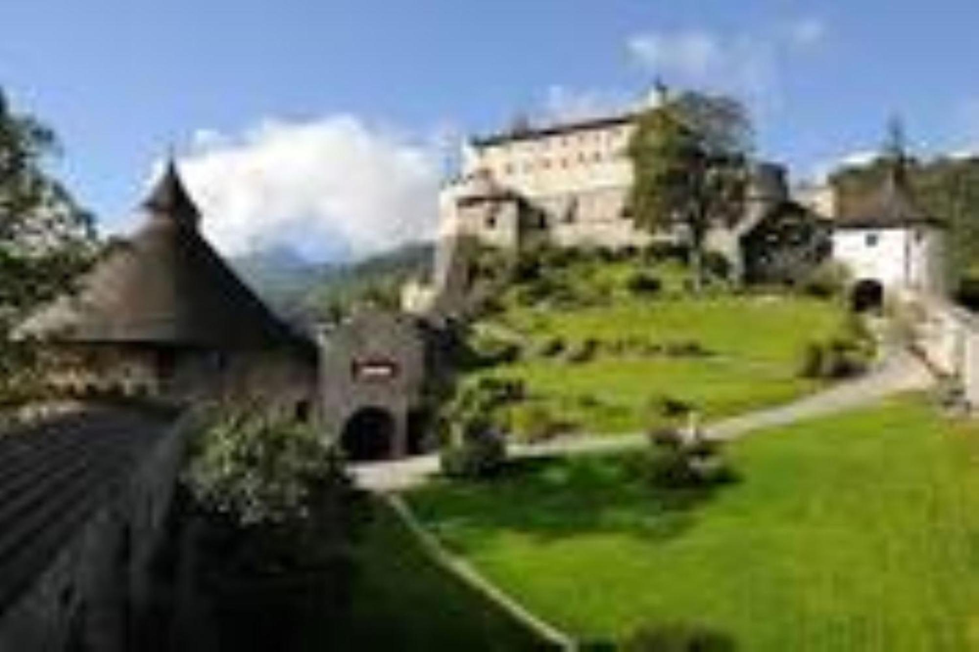 Ferienhaus Lechner Fuer Max 10 Personen - Wald Und Naturgarten Abtenau Exterior foto